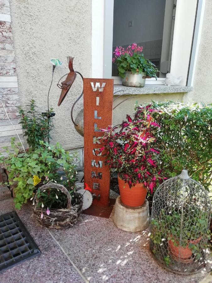 Ferienwohnung Zur Alten Eiche Frohburg Eksteriør bilde